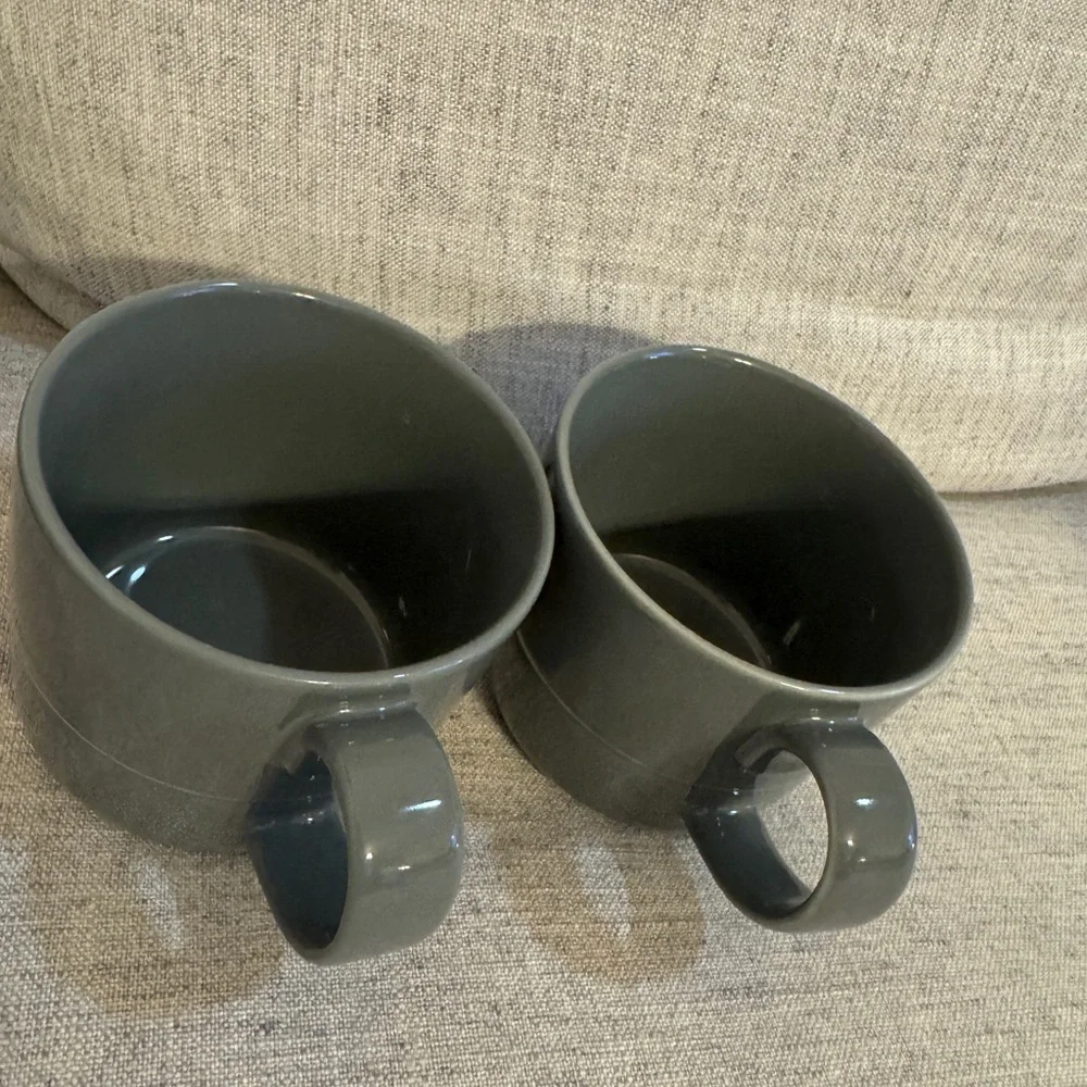 Set of 2 Crate & Barrel Hue Gray 12 ounce Mug by Aaron Probyn glossy